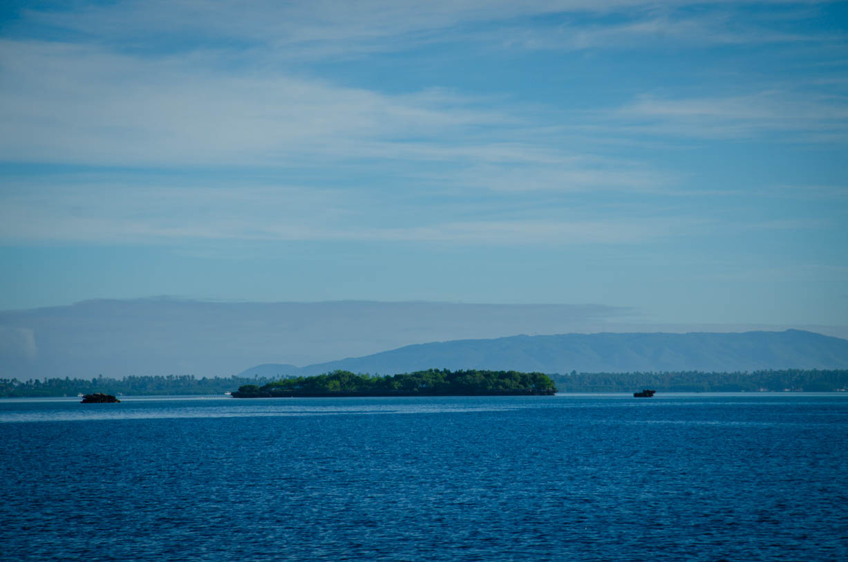 _DSC0109.jpg