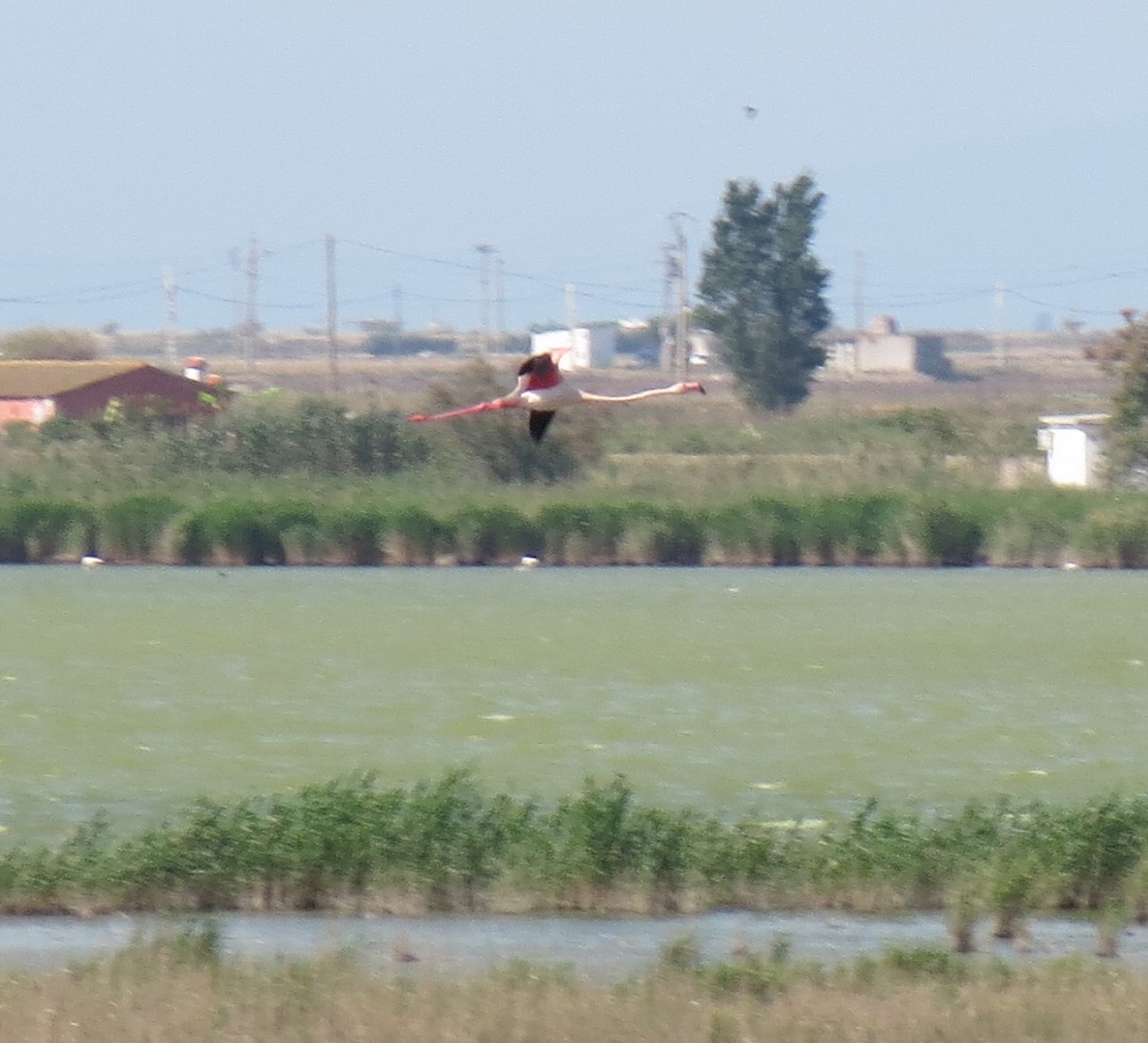 IMG_5355 - copia.JPG