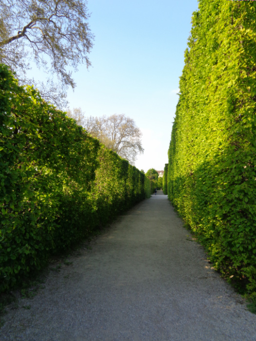DSC00933.jpg