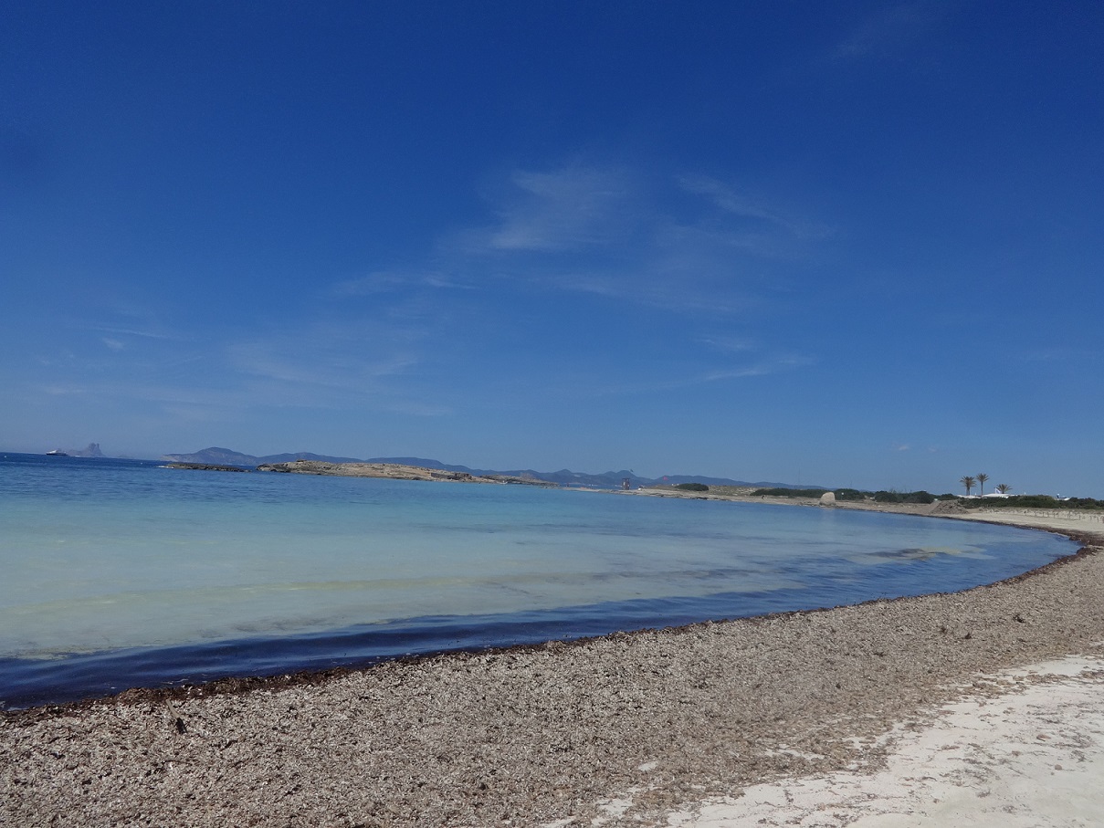 DSC07264.JPG