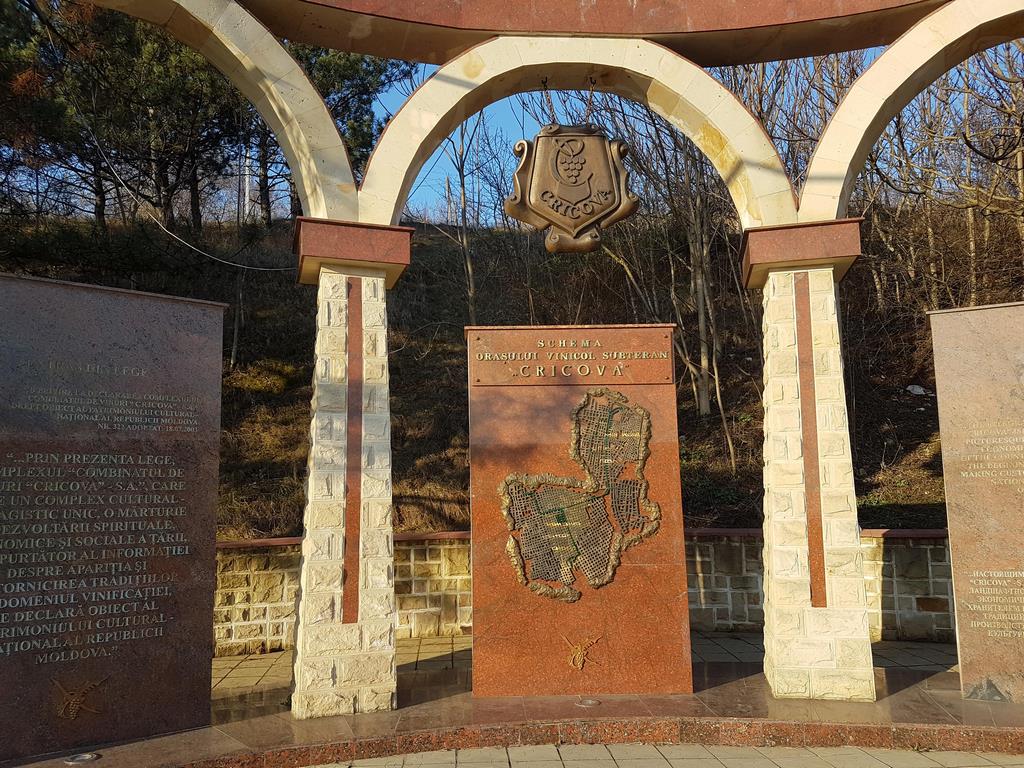 20170331_080448.jpg