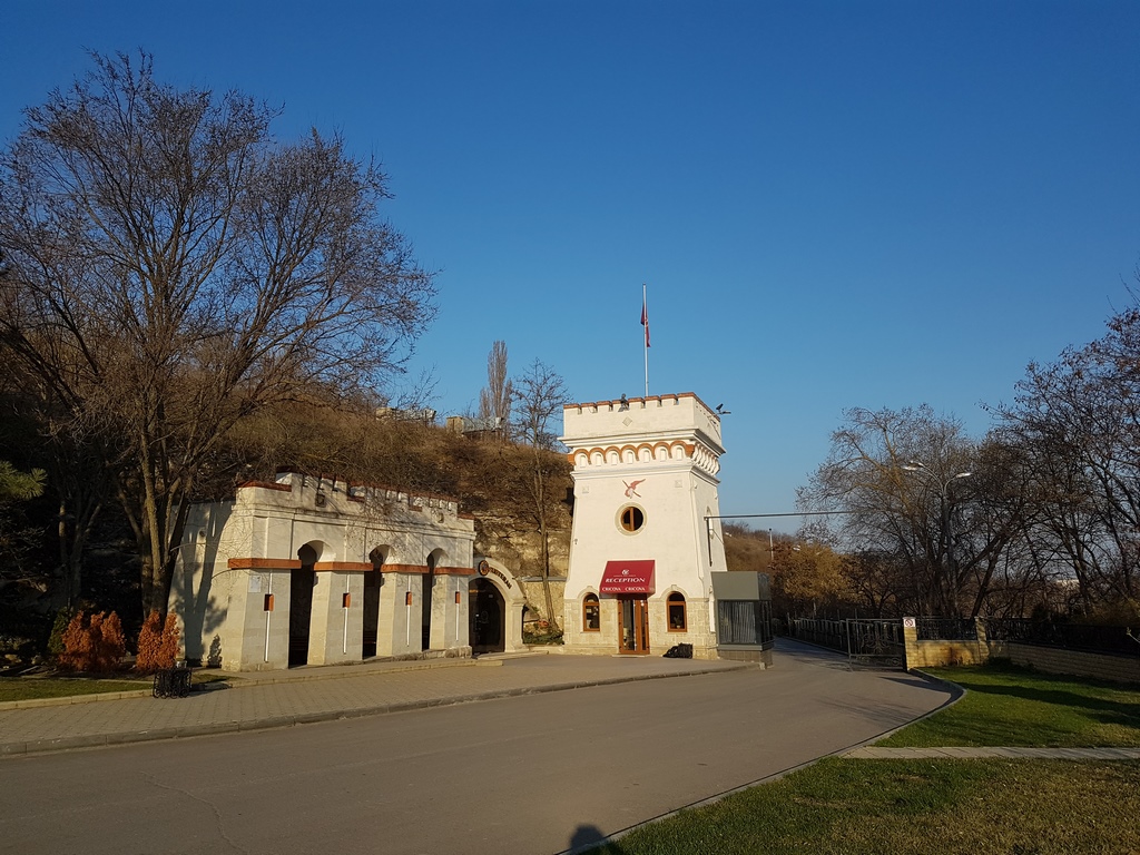 20170331_080646.jpg
