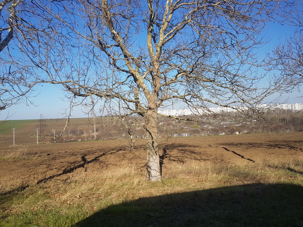 20170331_170044.jpg