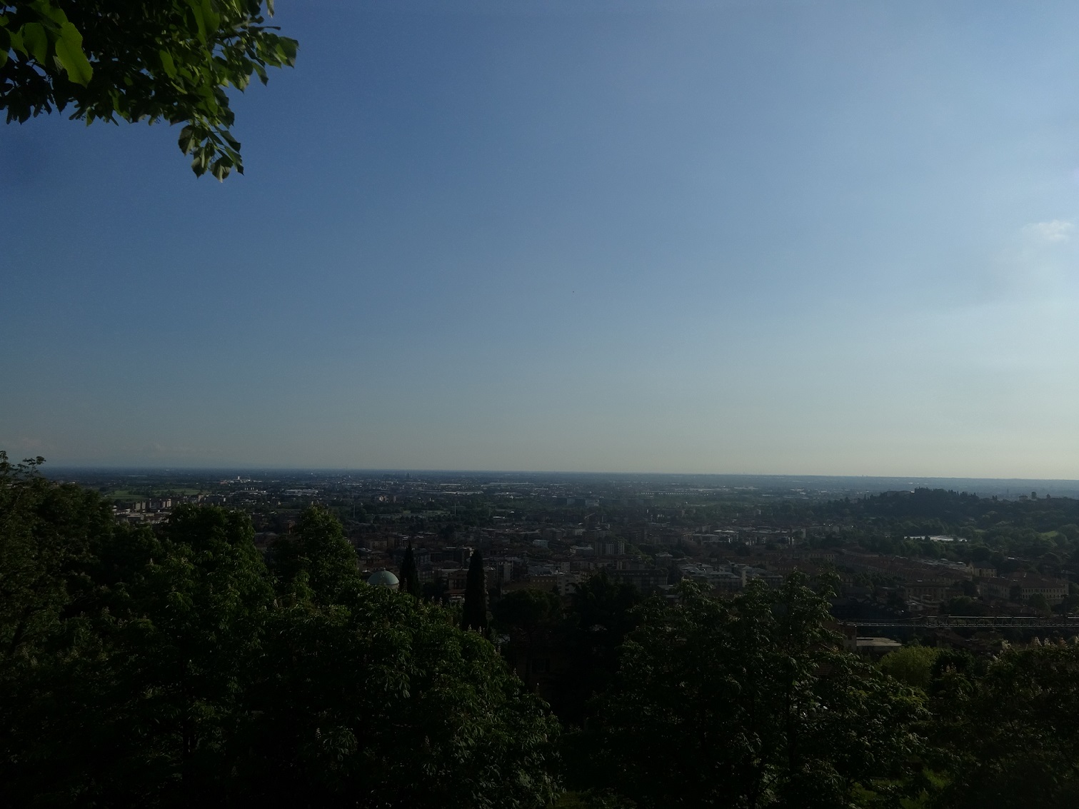 DSC07514.JPG