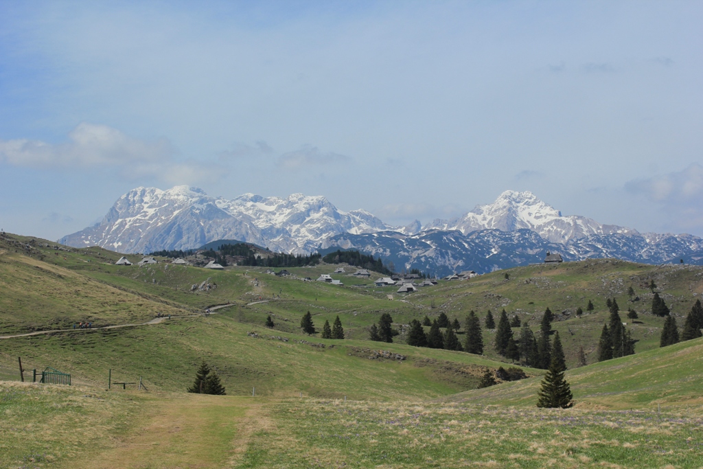 IMG_1214 - Velika Planina, Slovenia - 01 maj 2017, godz. 07.52.JPG