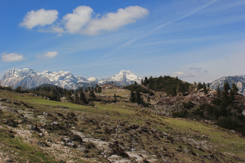IMG_1367 - Velika Planina, Slovenia - 01 maj 2017, godz. 08.33.JPG