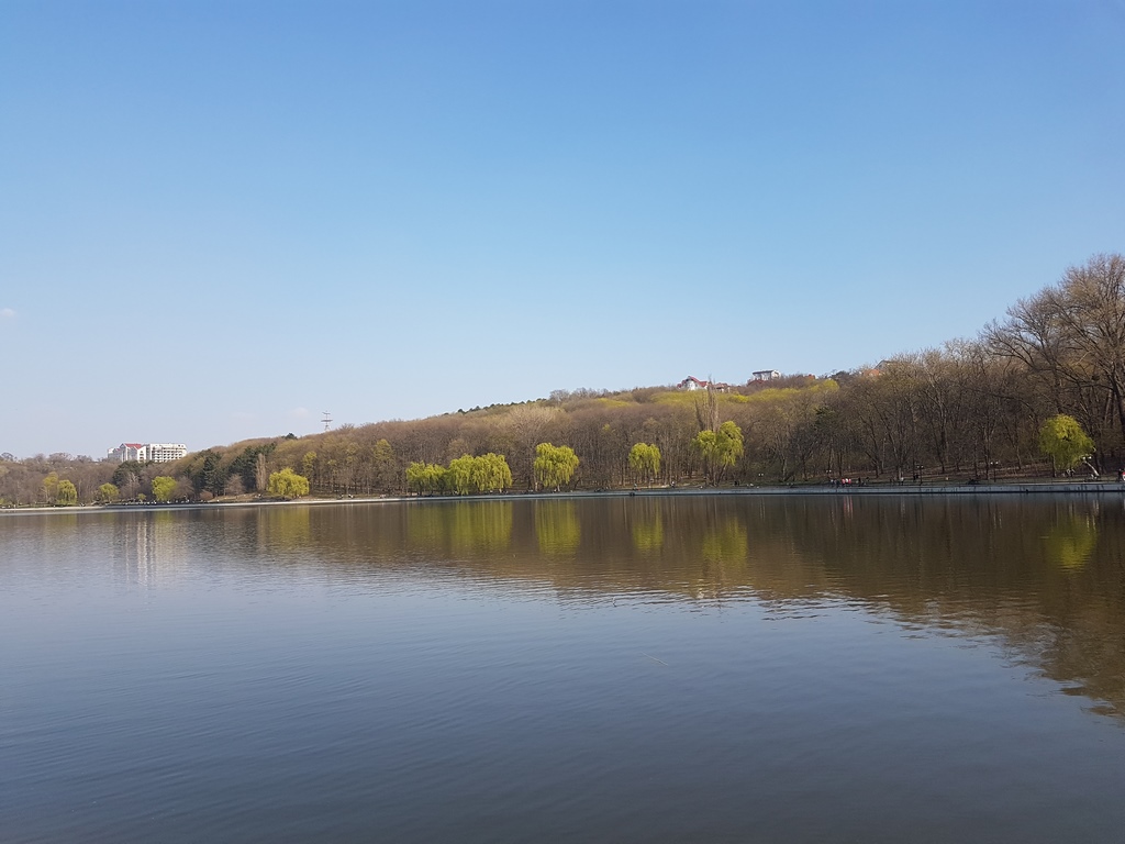 20170401_161038.jpg