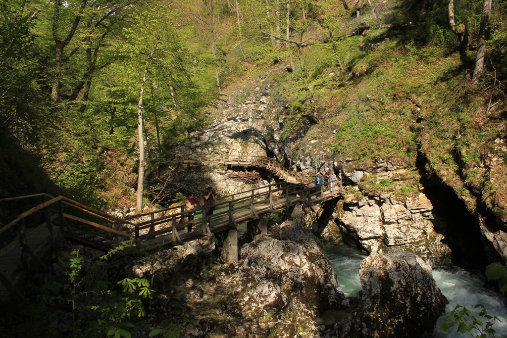IMG_1649 - Vintgar Waterfall, Slovenia - 02 maj 2017, godz. 09.02.JPG