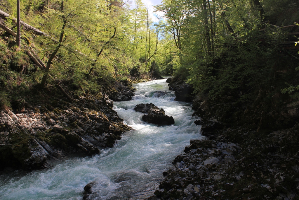 IMG_1658 - Vintgar Waterfall, Slovenia - 02 maj 2017, godz. 09.03.JPG
