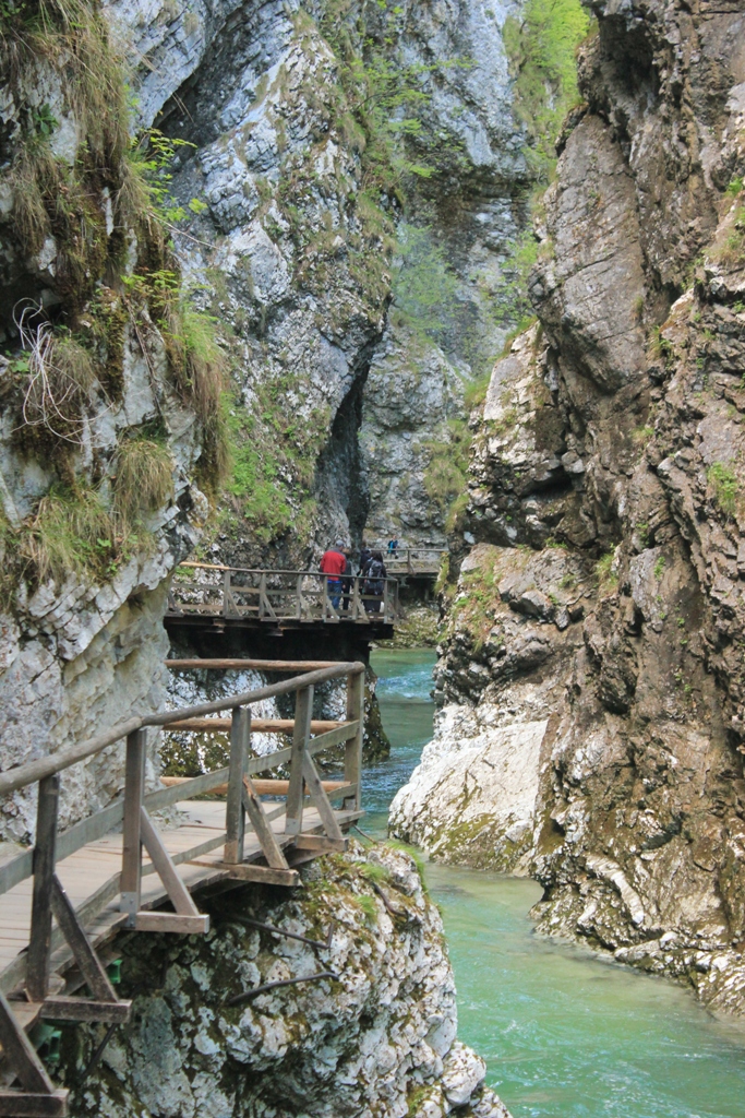 IMG_1782 - Vintgar Waterfall, Slovenia - 02 maj 2017, godz. 10.38.JPG