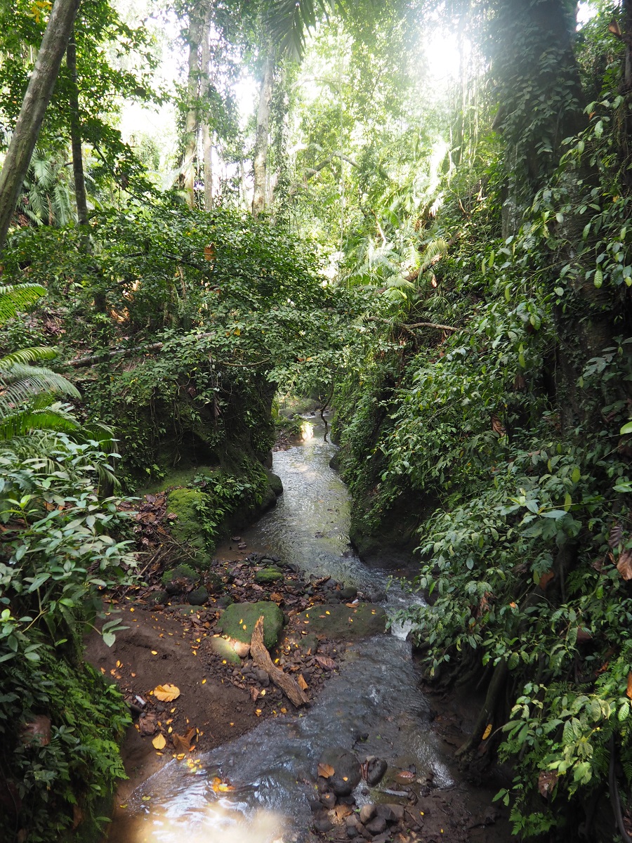 35b.jpg