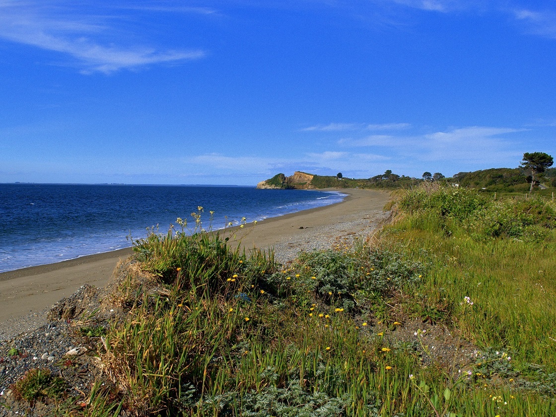 PLAŻA NA CHILOE.jpg