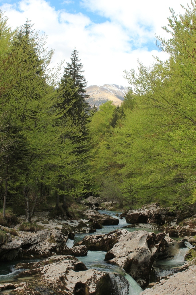 IMG_2117 - Mostnica Waterfall, Slovenia - 03 maj 2017, godz. 08.06.JPG