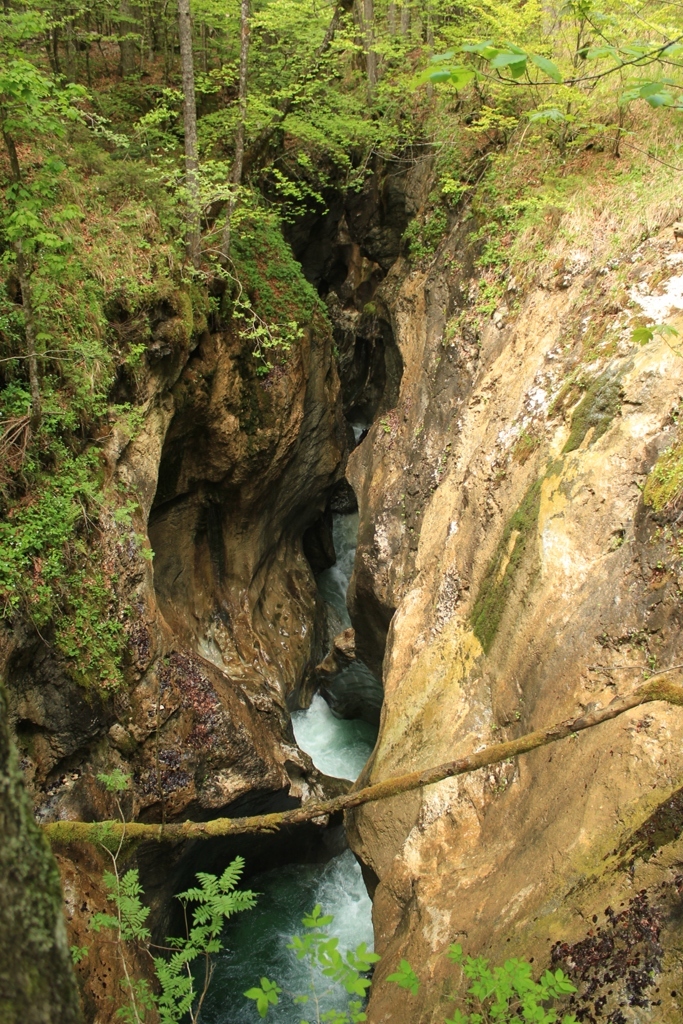 IMG_2158 - Mostnica Waterfall, Slovenia - 03 maj 2017, godz. 08.19.JPG