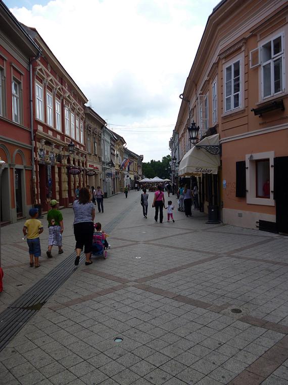 P1000368.JPG