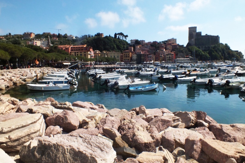 DSCF5445.jpg