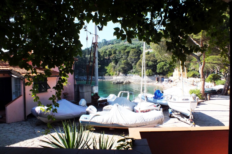 DSCF5473.jpg