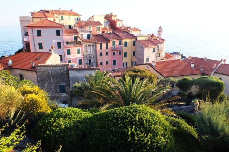 DSCF5568.jpg