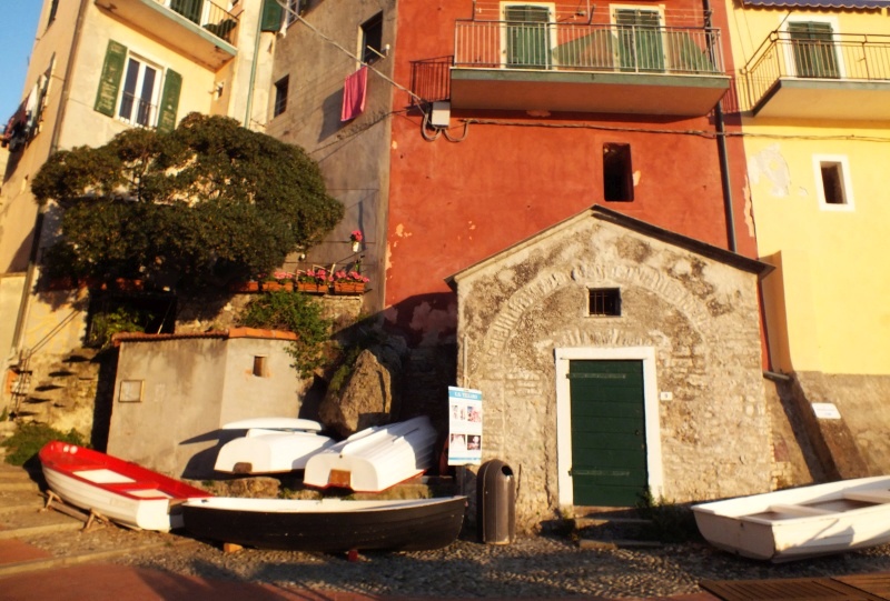 DSCF5576.jpg
