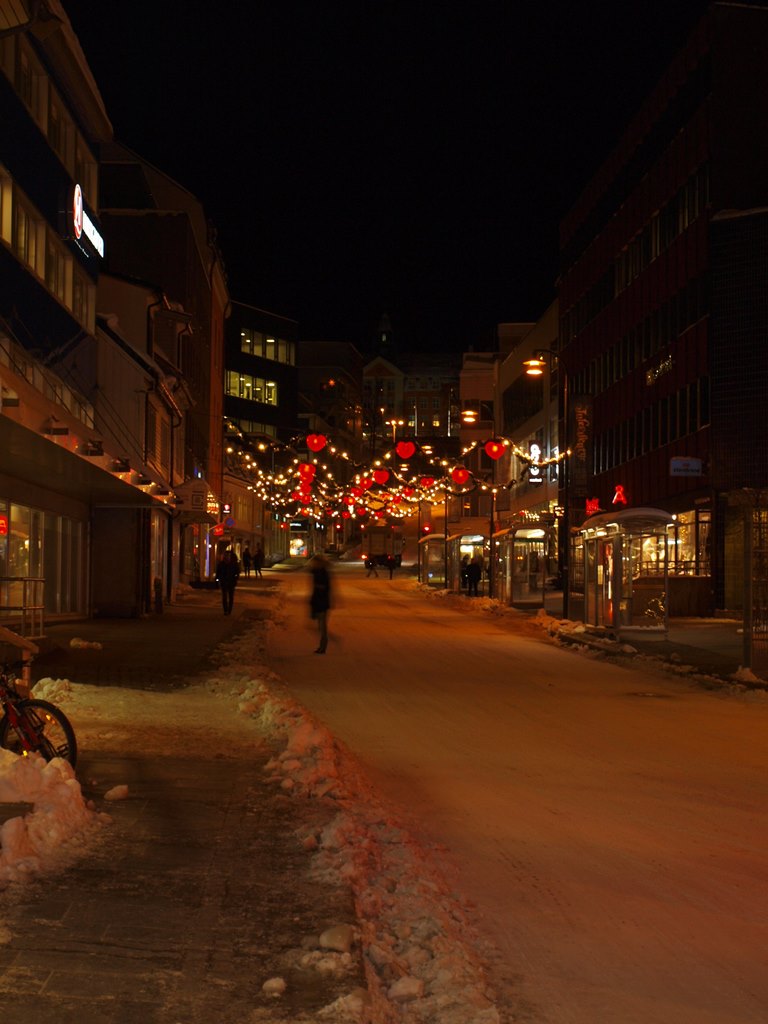 Tromso 0116.JPG