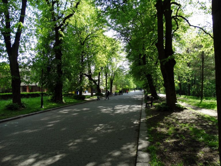 DSC00612.jpg