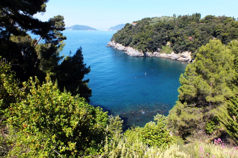 DSCF5641.jpg