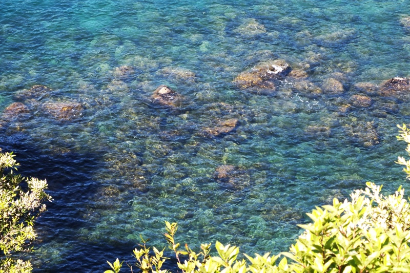 DSCF5642.jpg