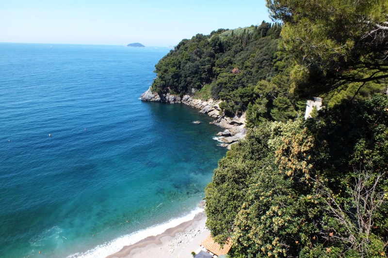 DSCF5645.jpg