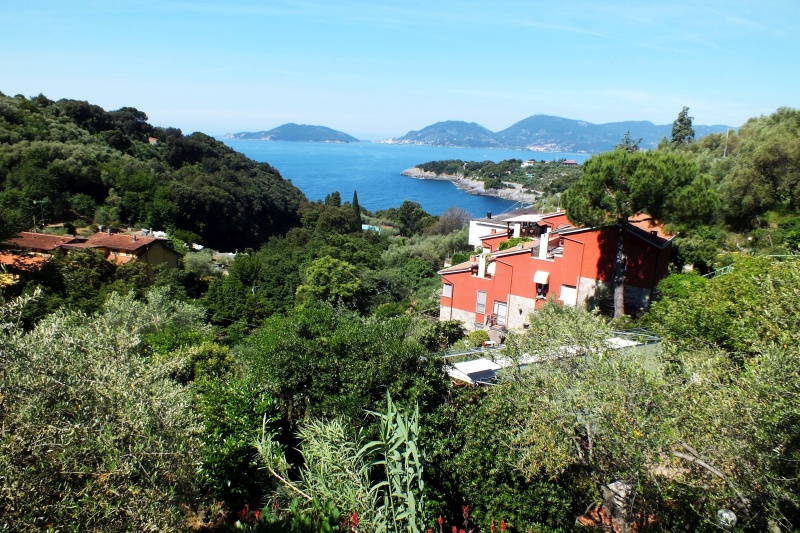 DSCF5647.jpg