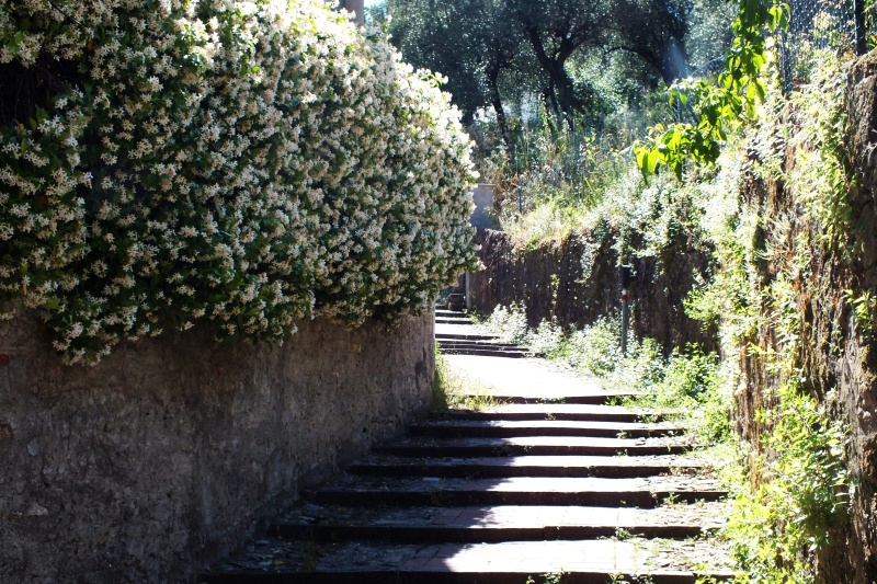 DSCF5654.jpg