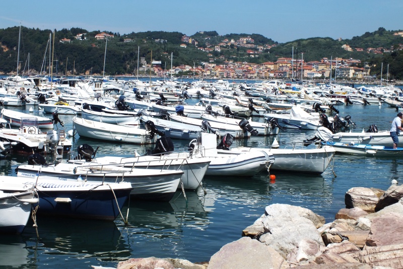 DSCF5663.jpg
