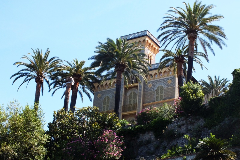 DSCF5664.jpg