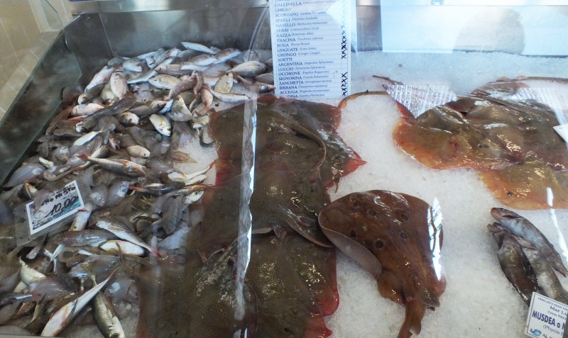 DSCF5716.jpg