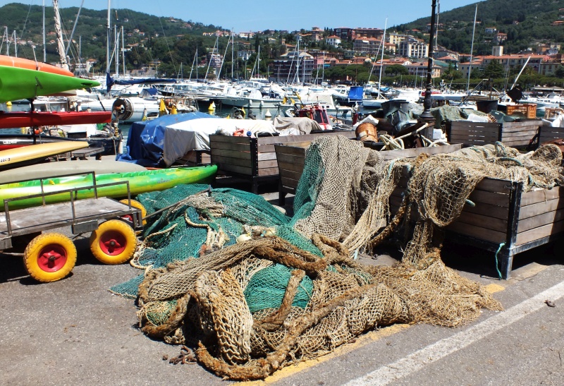 DSCF5698.jpg