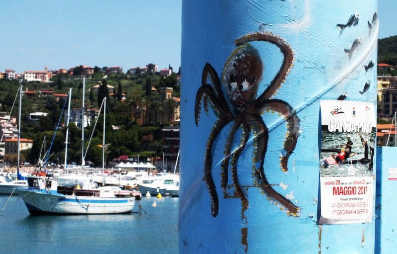 DSCF5715.jpg
