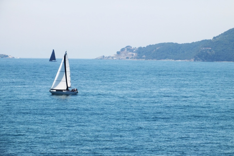 DSCF5703.jpg