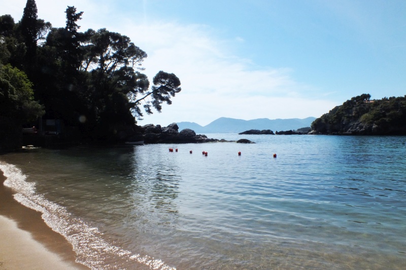 DSCF5725.jpg
