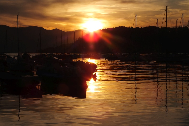 DSCF5750.jpg