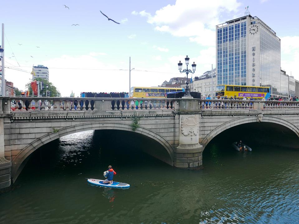 P1050377.jpg
