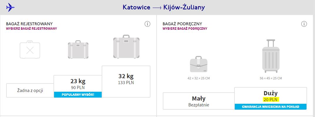 20_pln_luggage.JPG