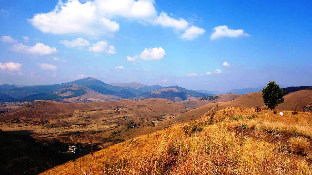 DSC07045.jpg