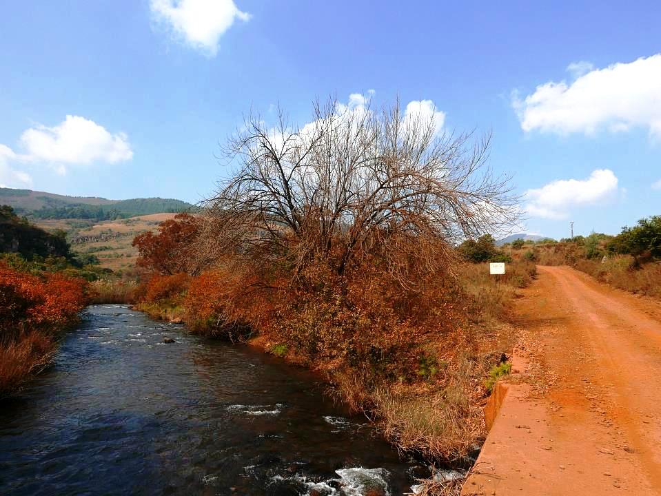P1050428.jpg