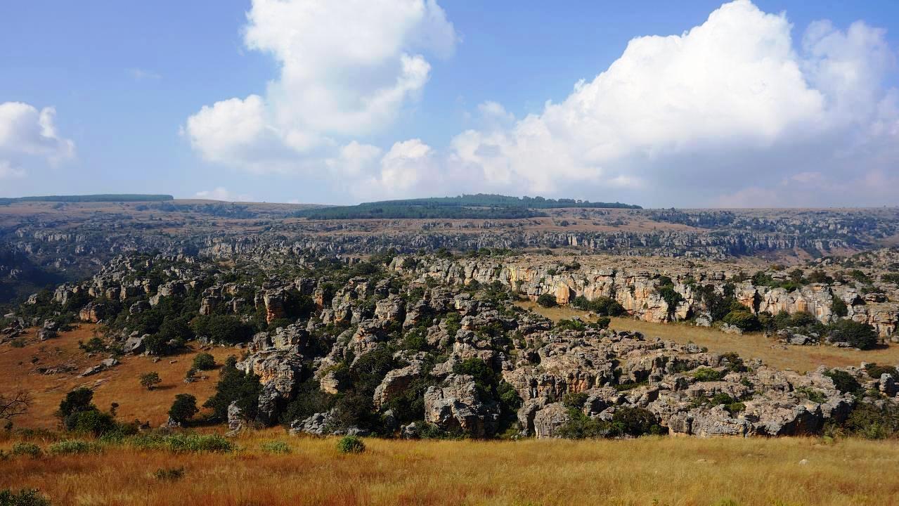 DSC07049.jpg