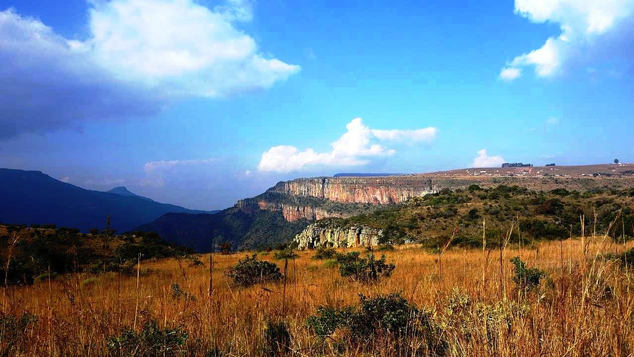 DSC07092.jpg
