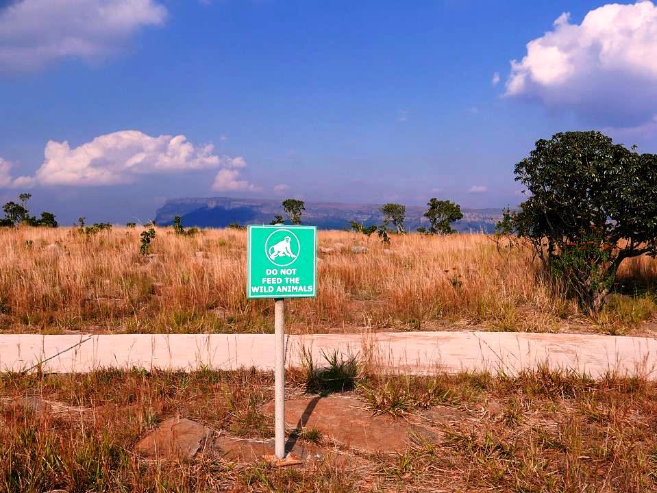 P1050474.jpg