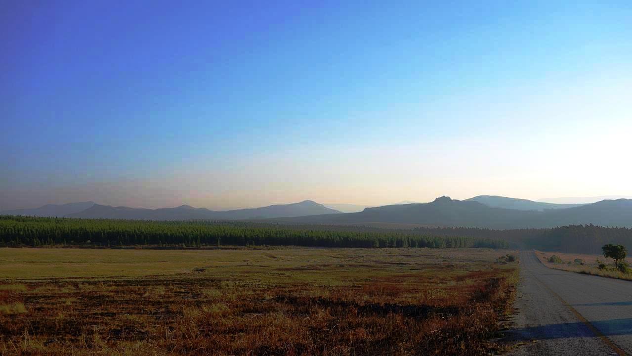 DSC07162.jpg