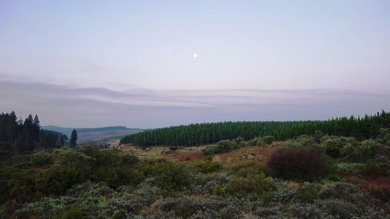 DSC07211.jpg