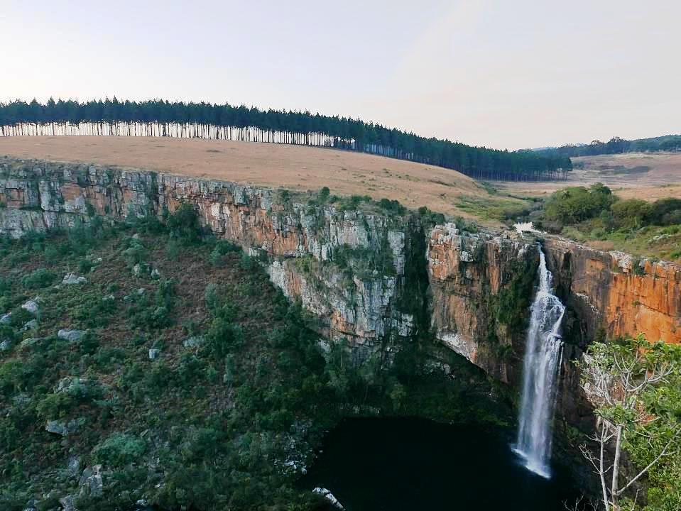 P1050563.jpg