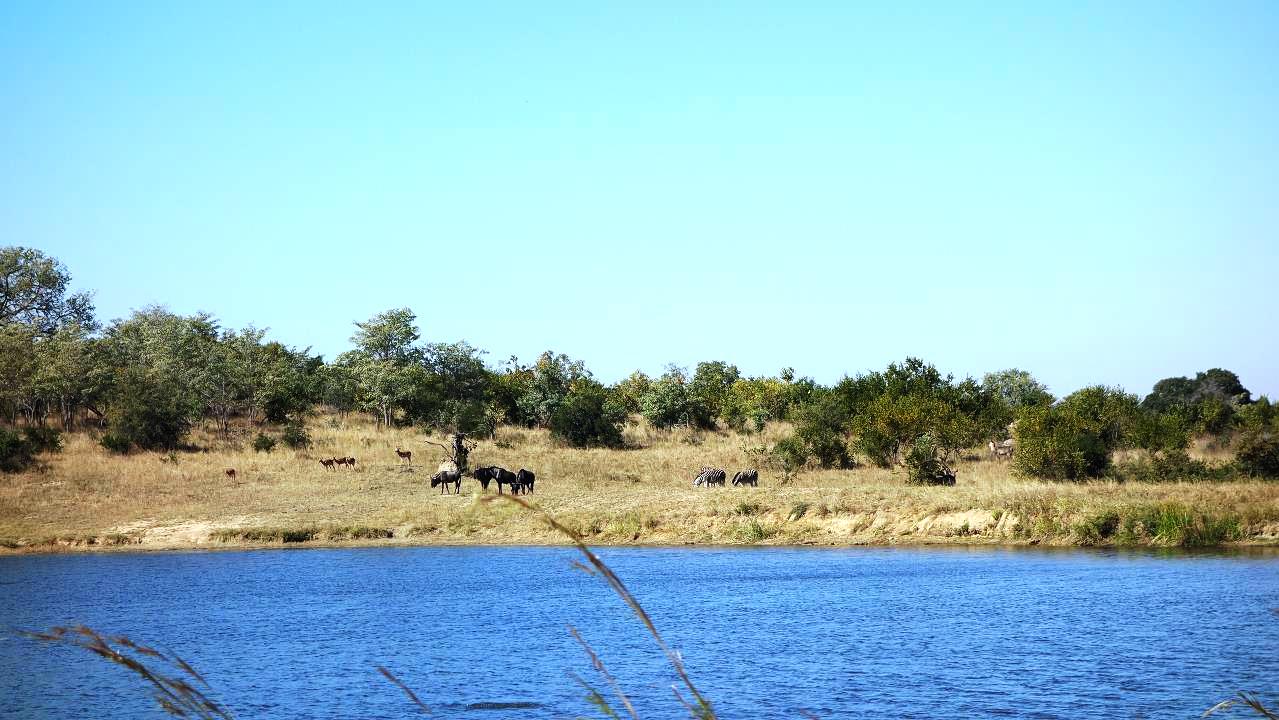 DSC07246.jpg