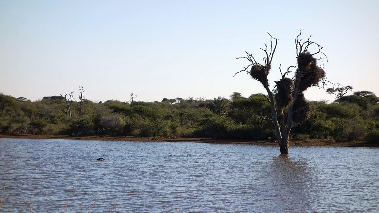 DSC07282.jpg